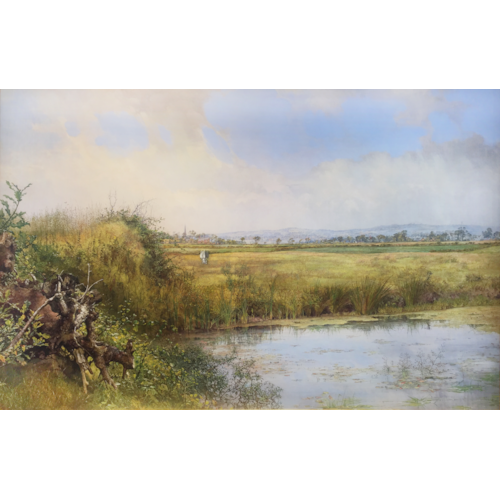 View near Sefton